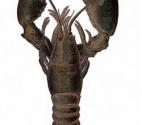 Maryland Seafood Festival - Information And Updates